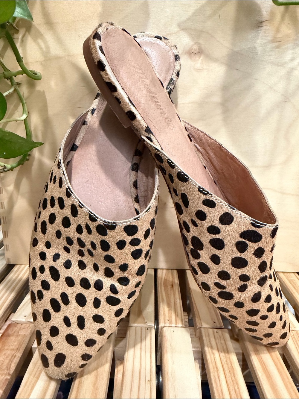 Madewell The Gemma Spot Dot Calf Hair Mules Size 7